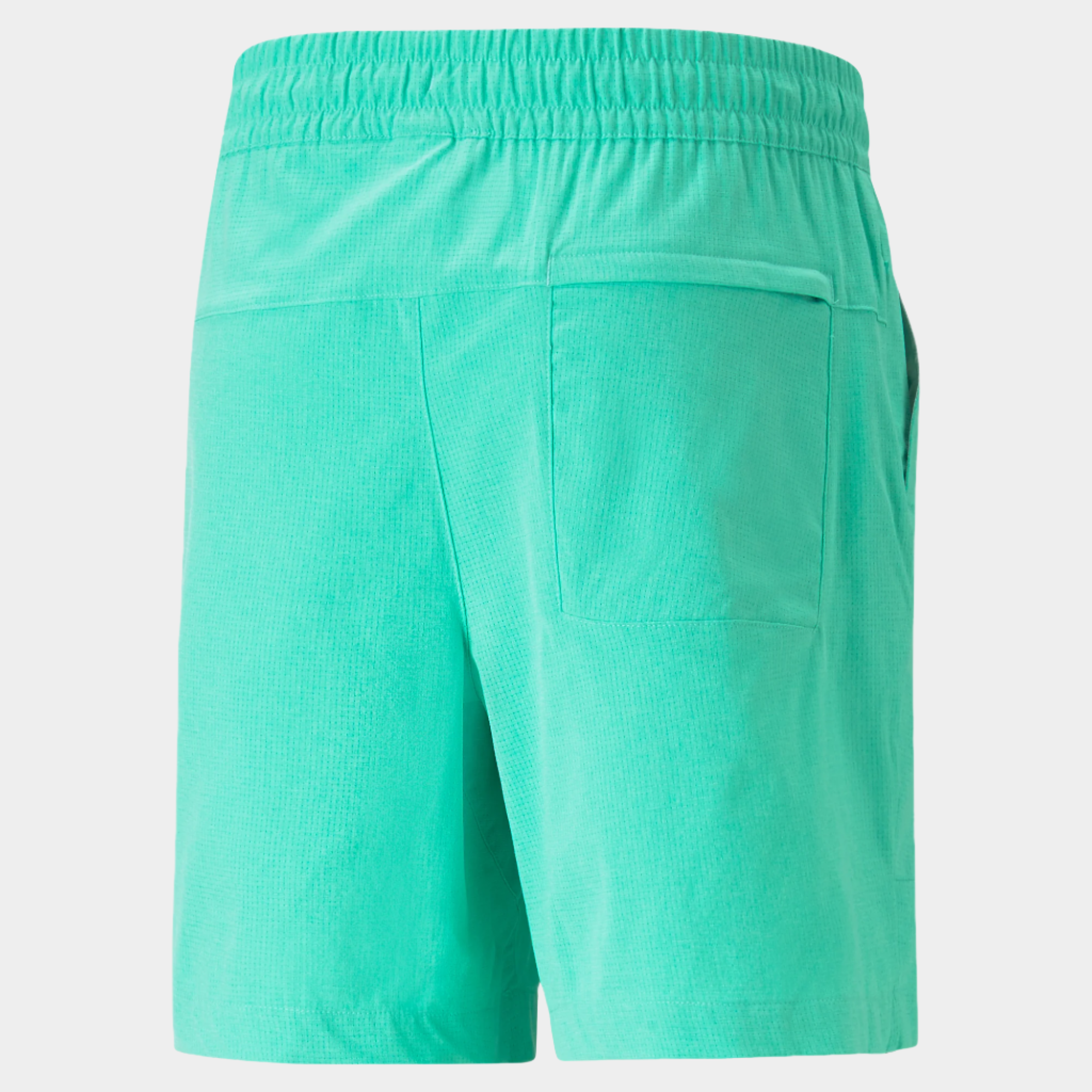 PUMA x PTC Vented Shorts